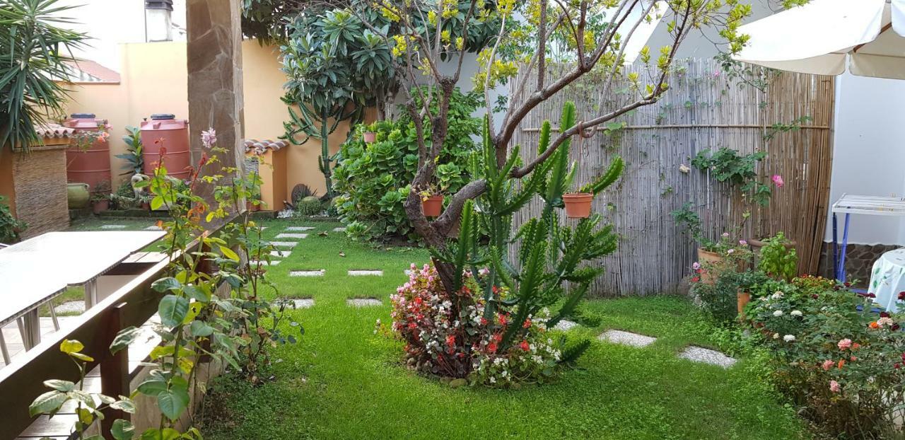 Casa Vacanze Rose E Fiori Sardegna 圣维托 外观 照片